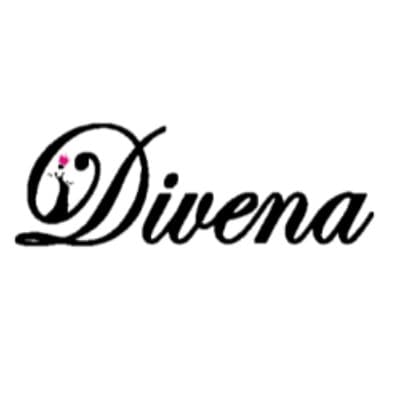 Dudani Retail Logo
